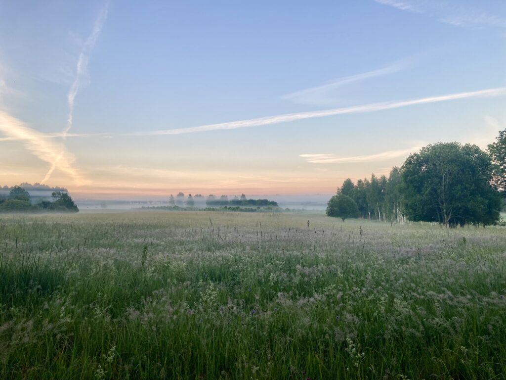 Väheru küla, Valgamaa - võta ühendust